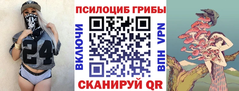цена наркотик  mega ссылка  Псилоцибиновые грибы GOLDEN TEACHER  Подольск 